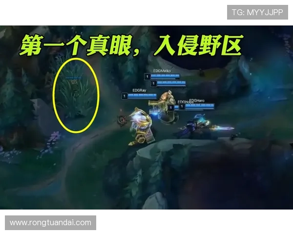 深入分析EDG战队的节奏打法与战术策略解析