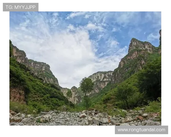 与李伟对话：探索他的街舞生涯与艺术追求之路